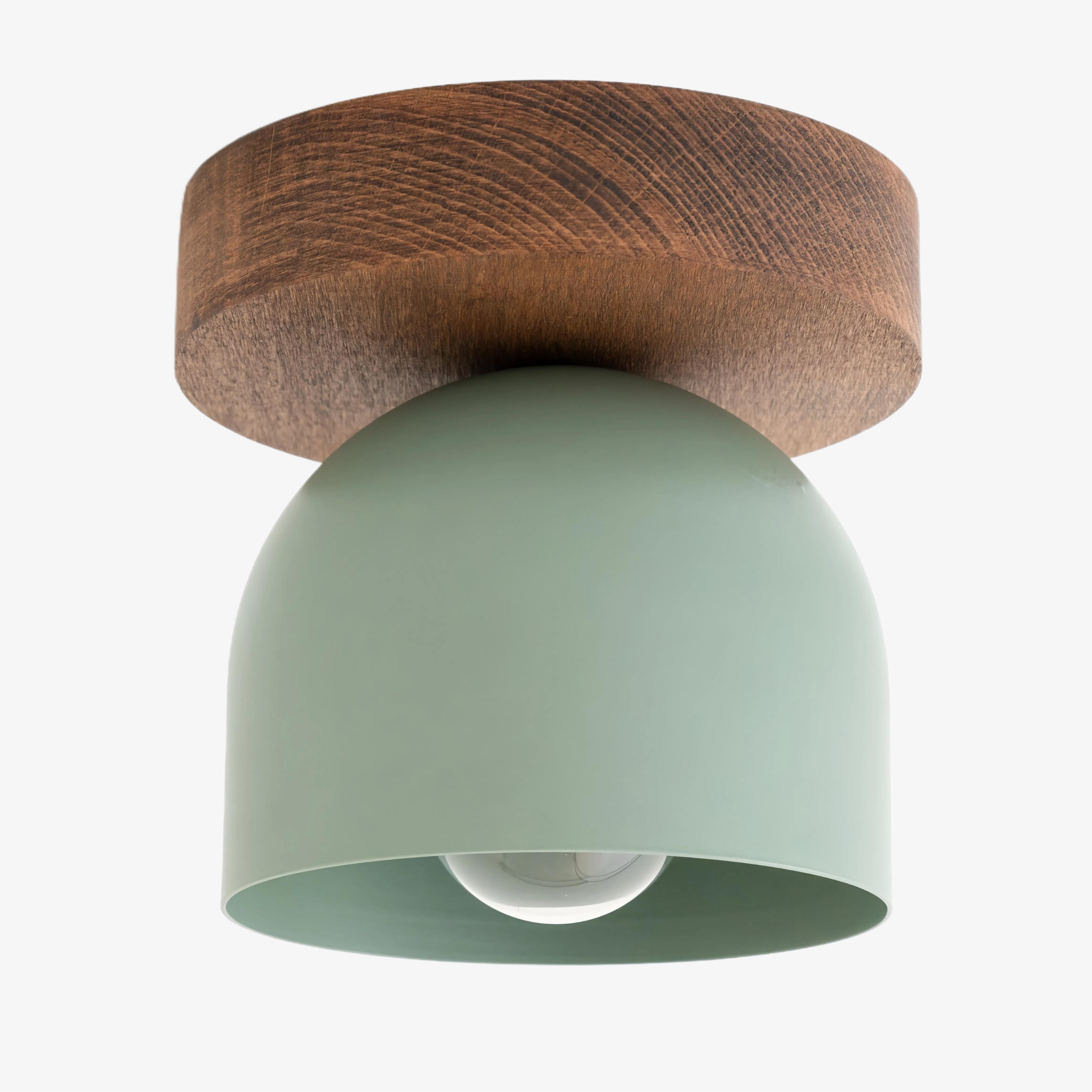 Metio Dome Modern Rustic Ceiling Light - Wooden and Metal Fusion