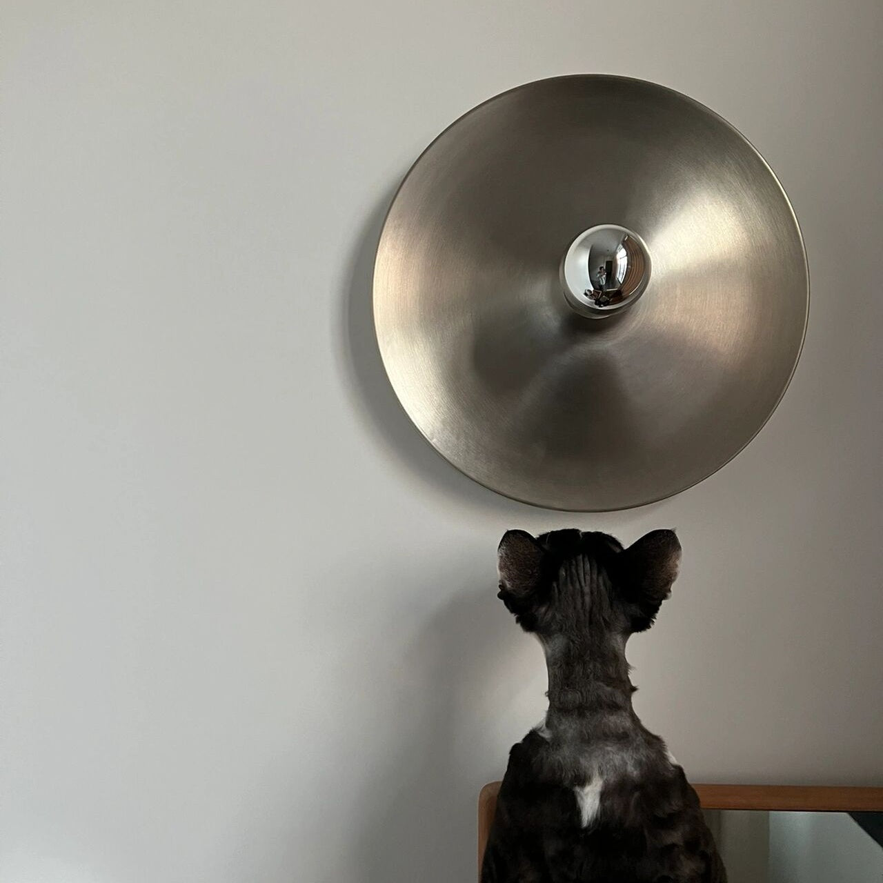 Sleek Space-Age Disk Ceiling Lamp Chrome Gold White Black Not Dimmable