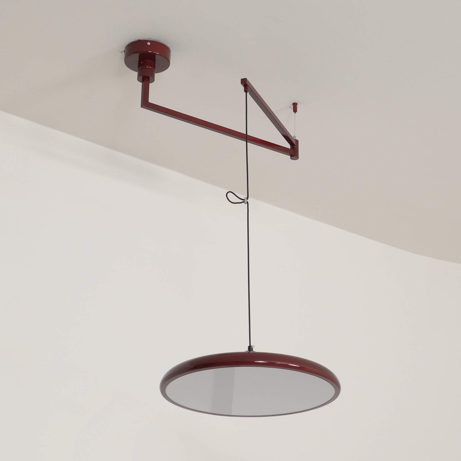 Adjustable Articulated Arm Metal Pendant Light