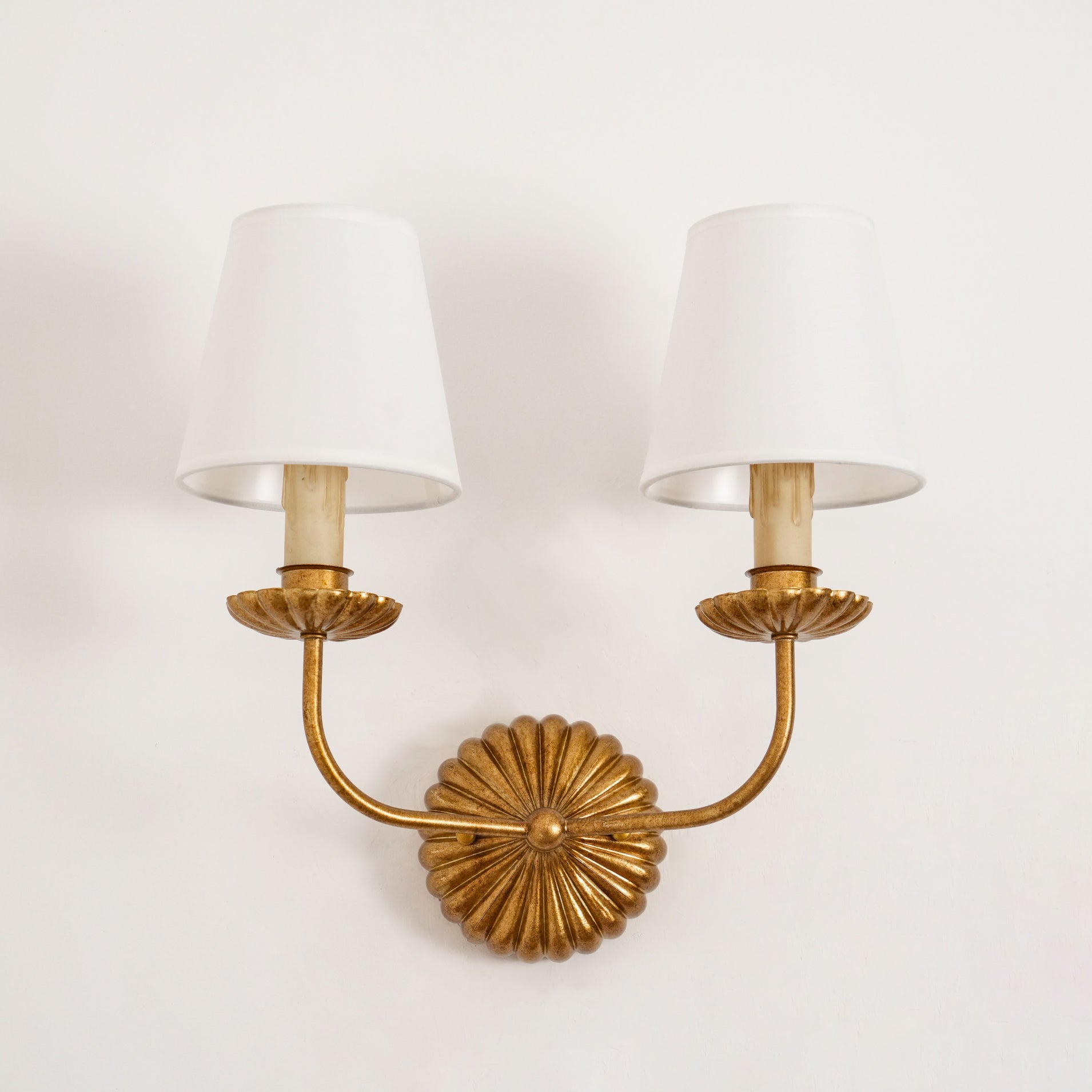 Catina Clove Wall Sconce Double