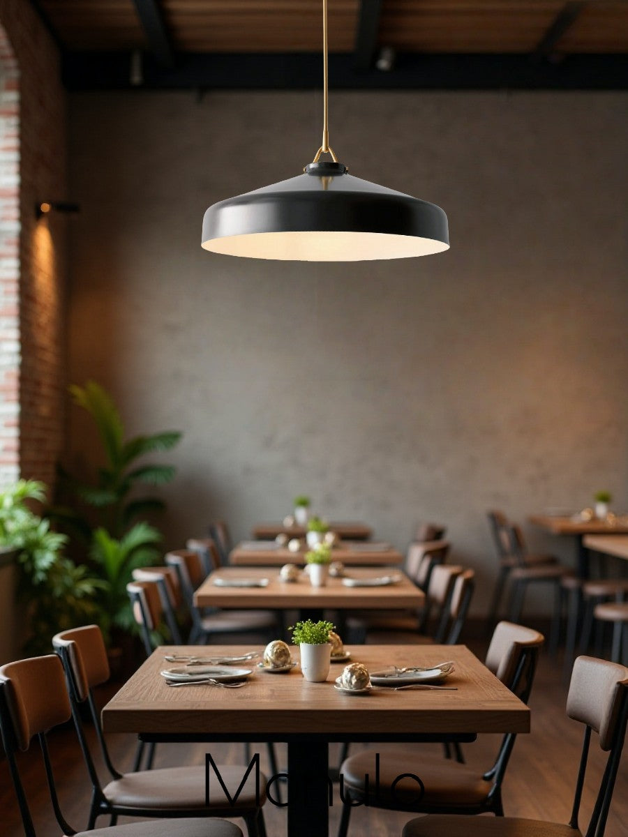 Minimalist Morandi Metal Pendant Light - Soft and Subtle Charm