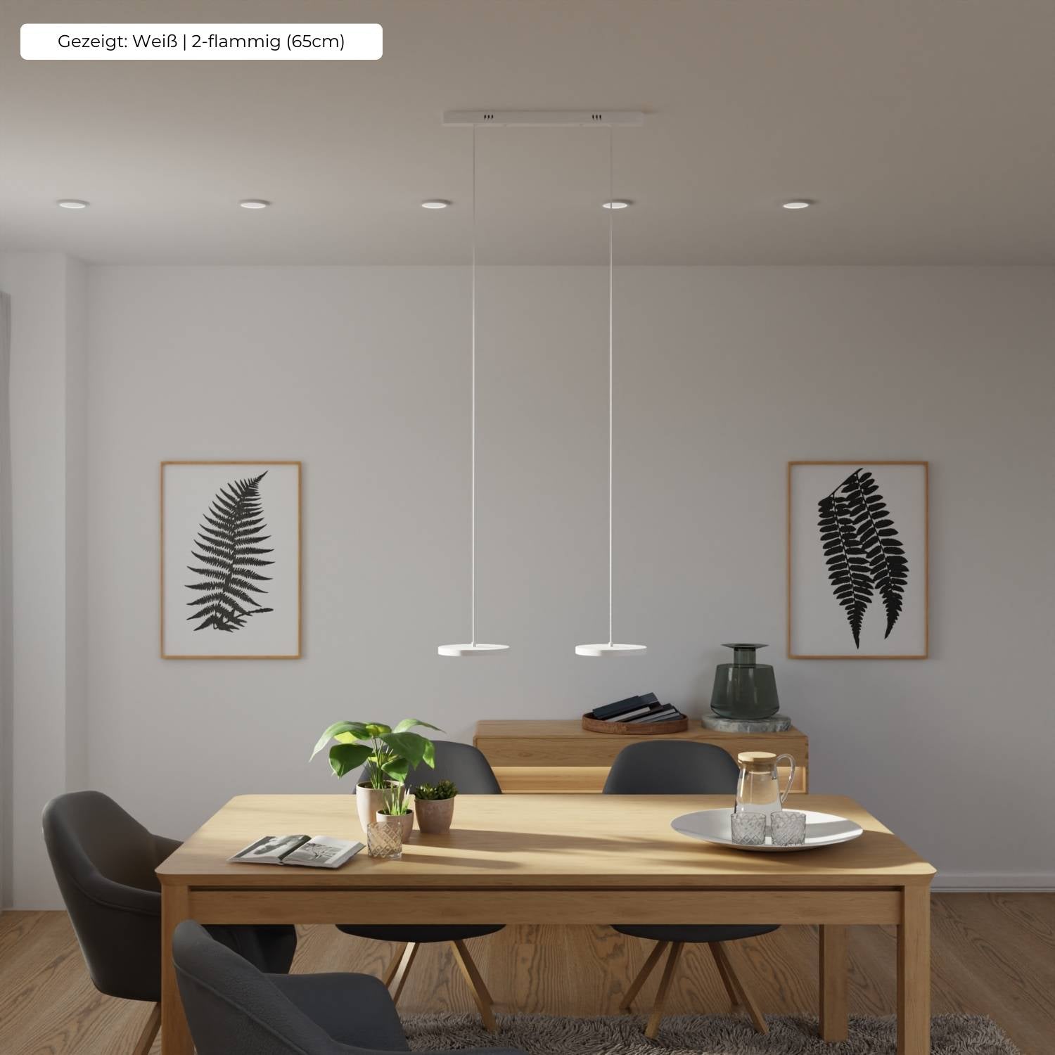 CRI 95 LED Pendant Light by Evanos - Modern Design