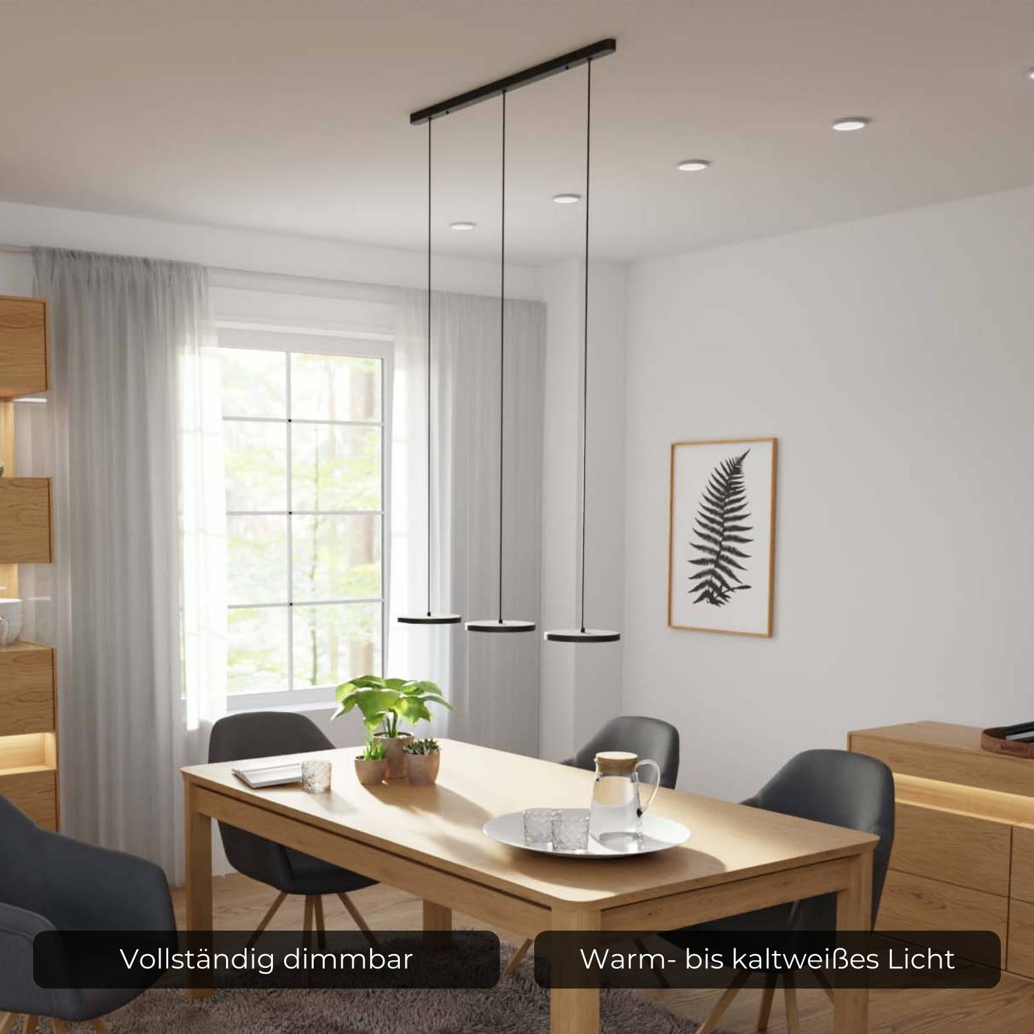 CRI 95 LED Pendant Light by Evanos - Modern Design