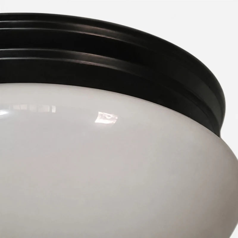 Close detail of opal glass shade and black canopy rim